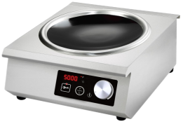 Induction Cooker