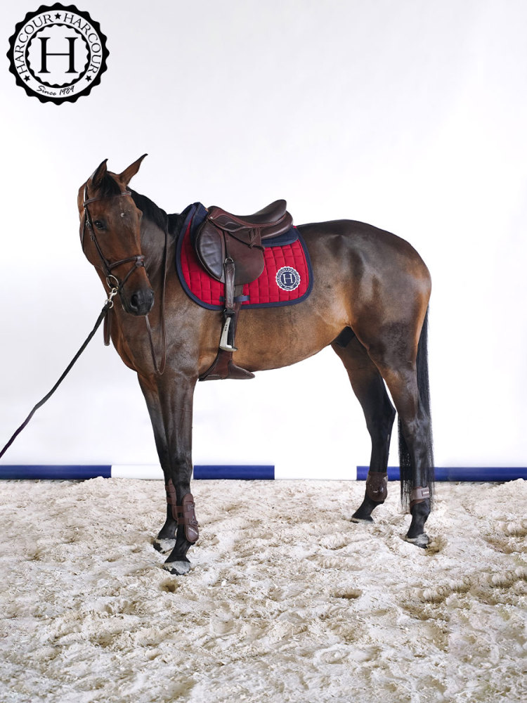 SAFINE Saddle pad馬鞍墊