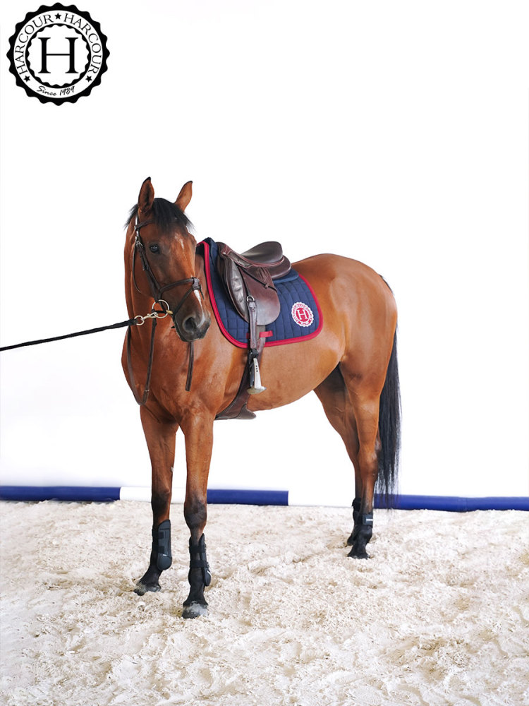 SAFINE Saddle pad馬鞍墊