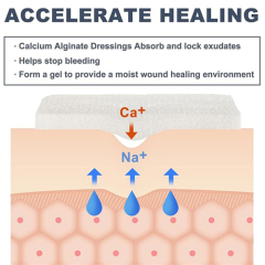 Alginate Dressing In Sheet, size 10 cm x 10 cm / 4"x 4", Advanced Wound Care Solution, Suitable for cuts and lacerations, Post Surgical Wounds