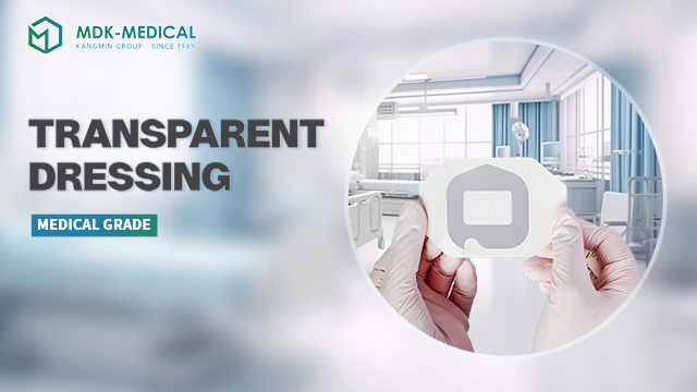 Unlocking Global Demand: Transparent Wound Dressing Opportunities for Medical Supplies Wholesalers