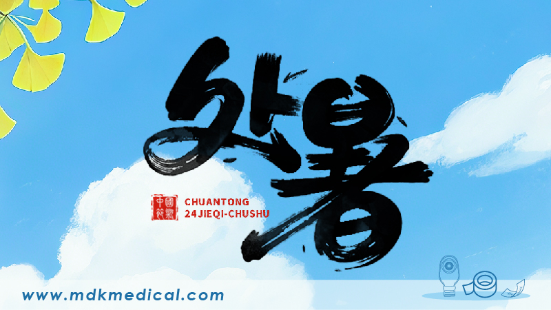 End of Heat (Chushu)｜Goodbye to Summer Heat, Hello to Gentle Autumn