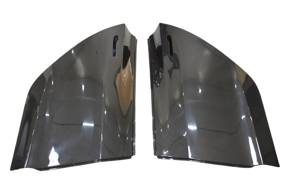 Tesla Model 3 door (front)(indivual)