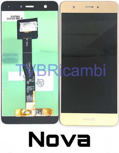 Huawei Nova Display Senza Frame Oro CAN-L01 CAN-L02 CAN-L12
