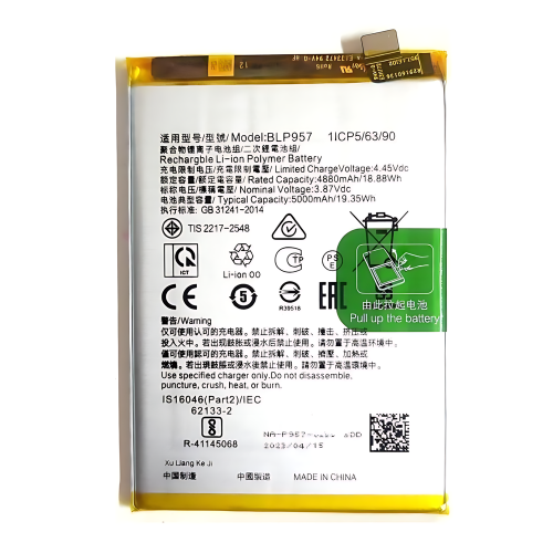 Batteria BLP957 Realme 10 4G RMX3630