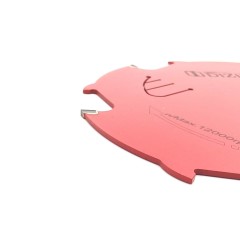 DiZiK CFB001 Anti-Kickback Diamond Saw Blade Mounted on Track Saw