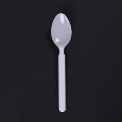 Luxury Spoon