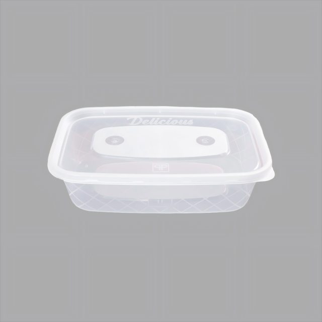 500ML  Container Customized