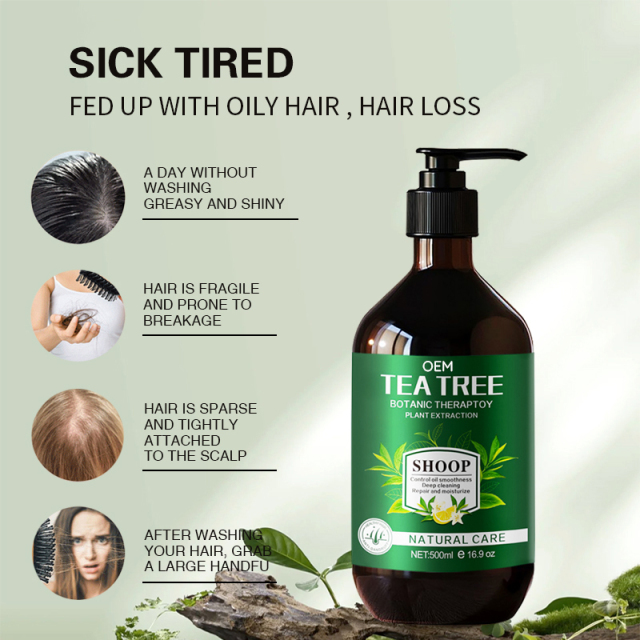 Tea Tree Body Wash Set