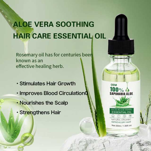 Eco Aloe Vera Body Care Set