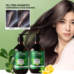 Tea Tree Body Wash Set
