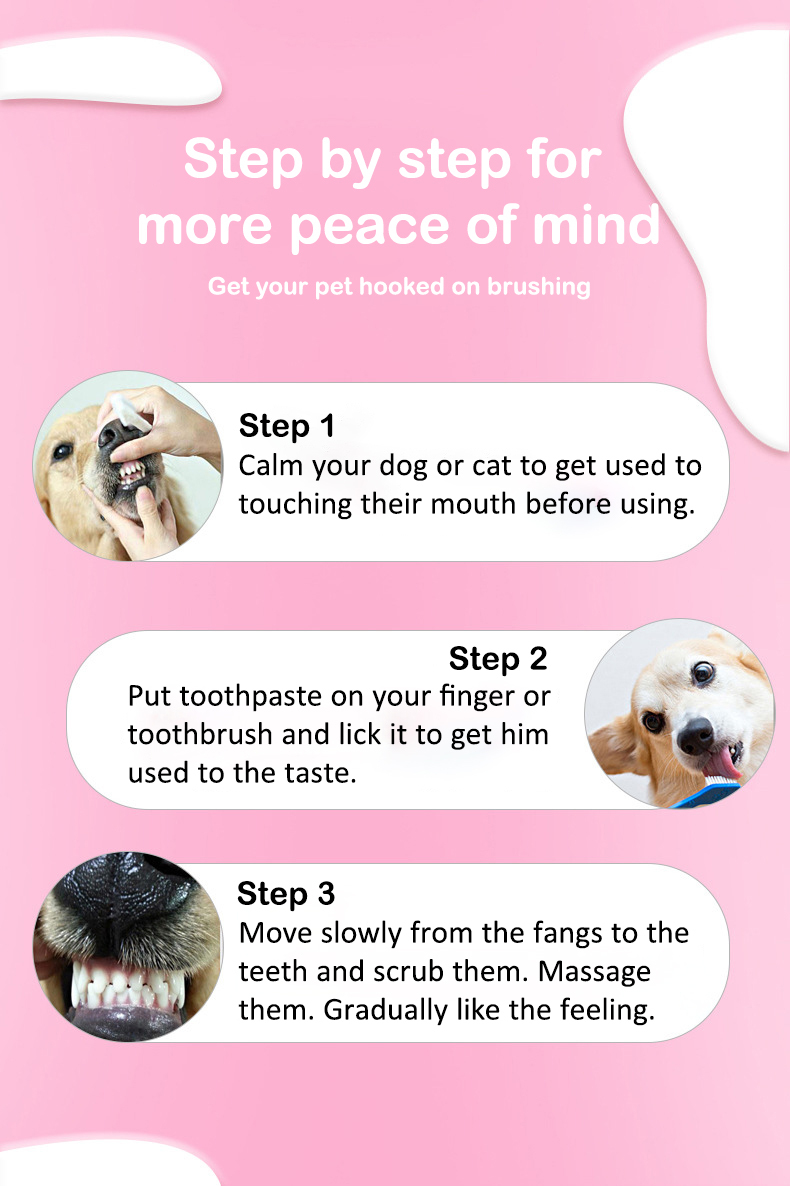 Pet Toothpaste