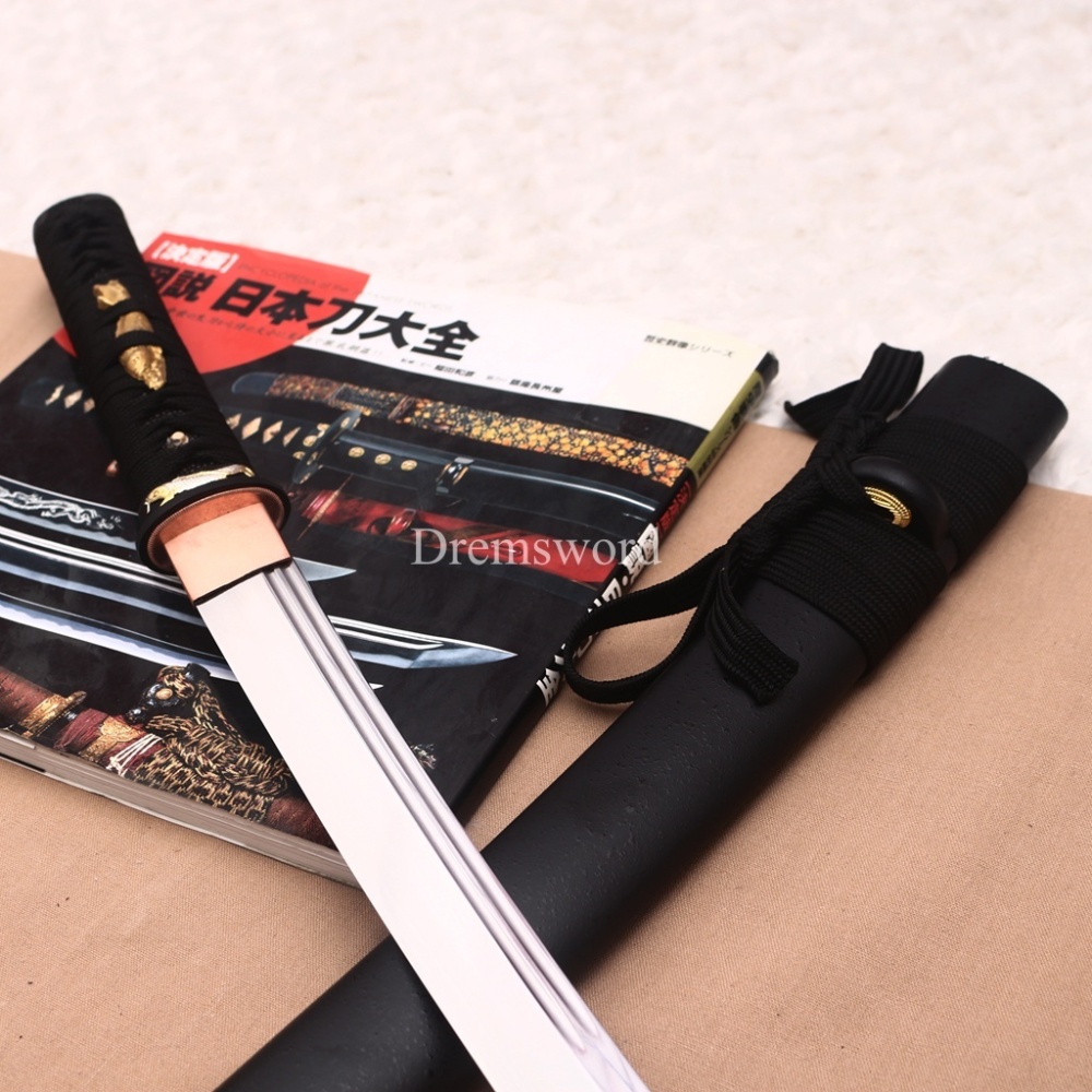 Functional 1095 High Carbon Steel Wakizashi Double Bo-hi Japanese Samurai Battle Sword Shinogi ZUKURI Black