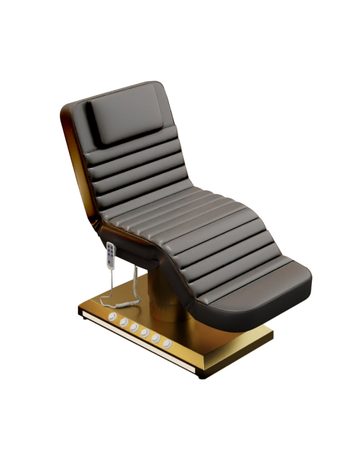 Beauty bed，High end electric beauty massage bed 165*60*50---SZ826