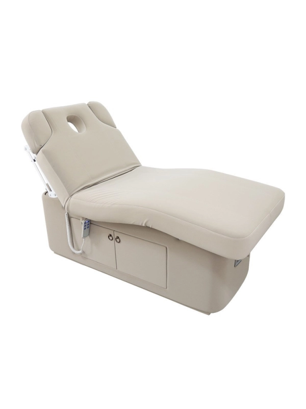 Electric beauty bed，Thermostatic heating massage bed Spa embroidery bed 195*80*64cm---SY181