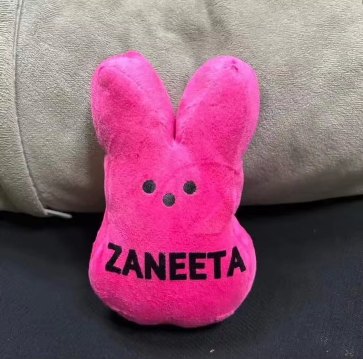 USA RTS Alwin New mixed  colors Easter peep rabbit with Zipper 15cm 20cm 25cm