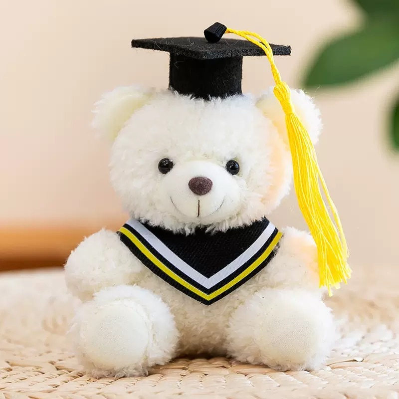 Alwin China RTS 15cm Bear Graduation Mini Dolls Cute Hot Sale