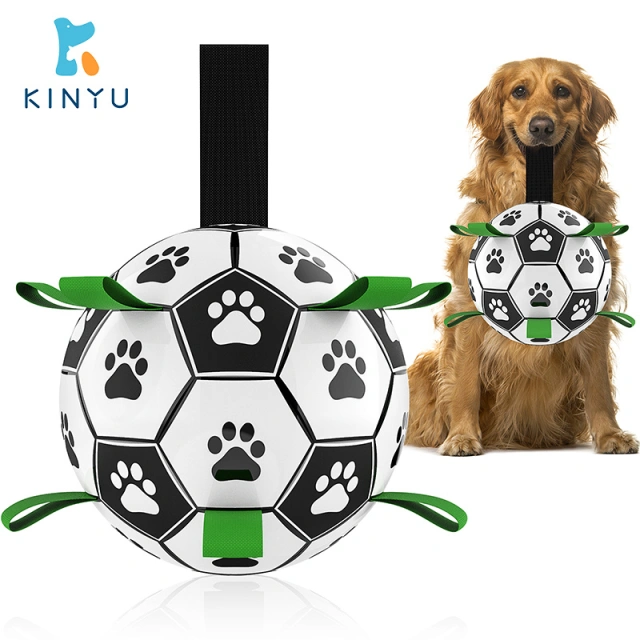 dog soccer ball