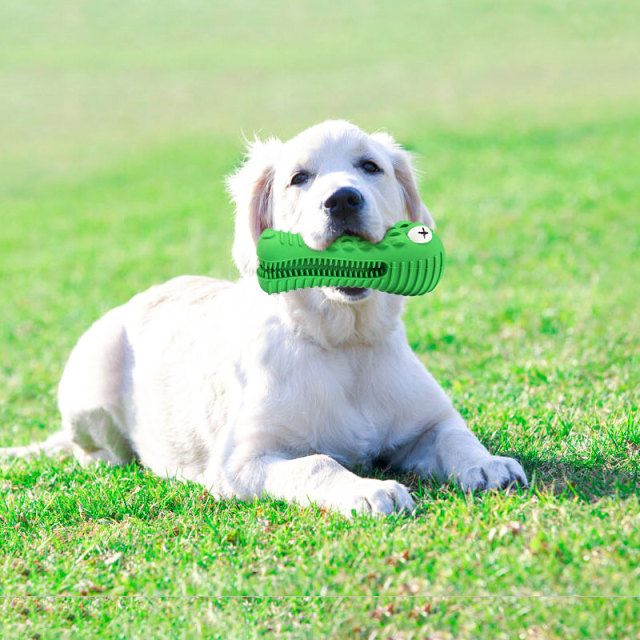Crocodile Squeaky ToothbrushStick Dog Chew Toy