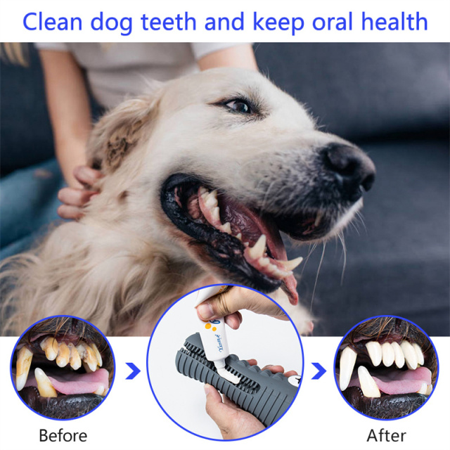 Crocodile Squeaky ToothbrushStick Dog Chew Toy
