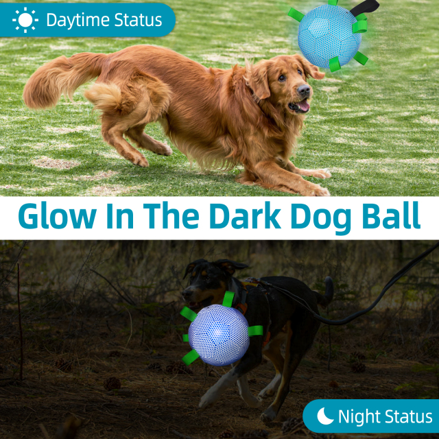 New Luminous Reflactive Technological Dog Soccer Ball