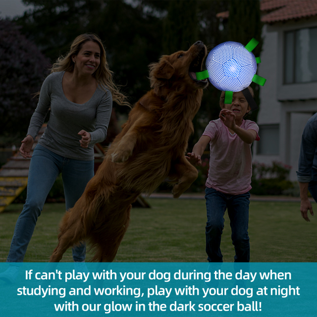 New Luminous Reflactive Technological Dog Soccer Ball