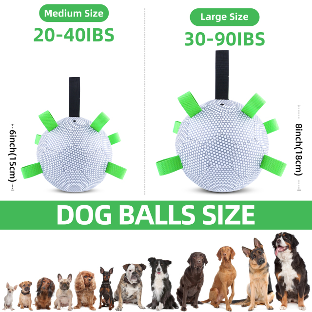 KINYU Beehive reflective dog soccer ball