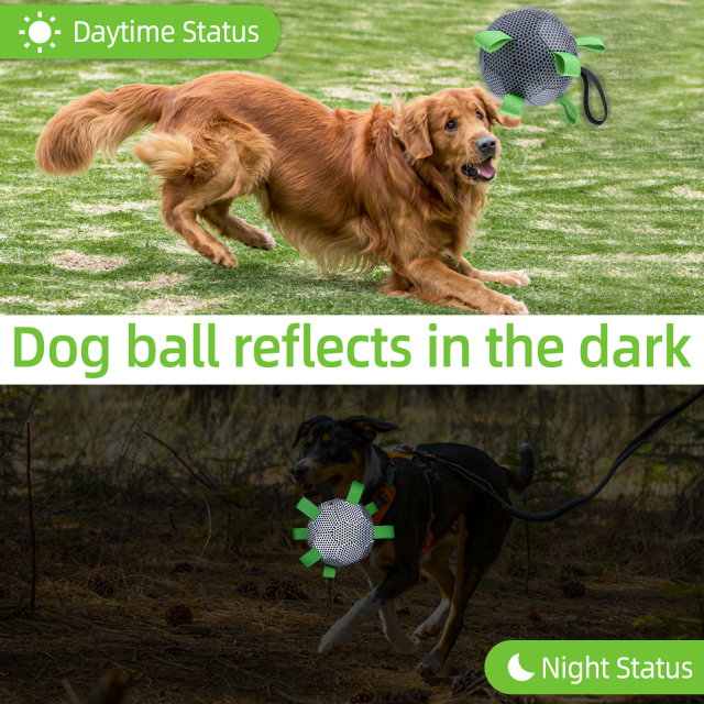 Black Honeycomb reflective dog soocer ball