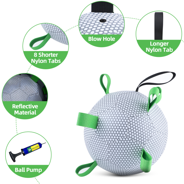 KINYU Beehive reflective dog soccer ball