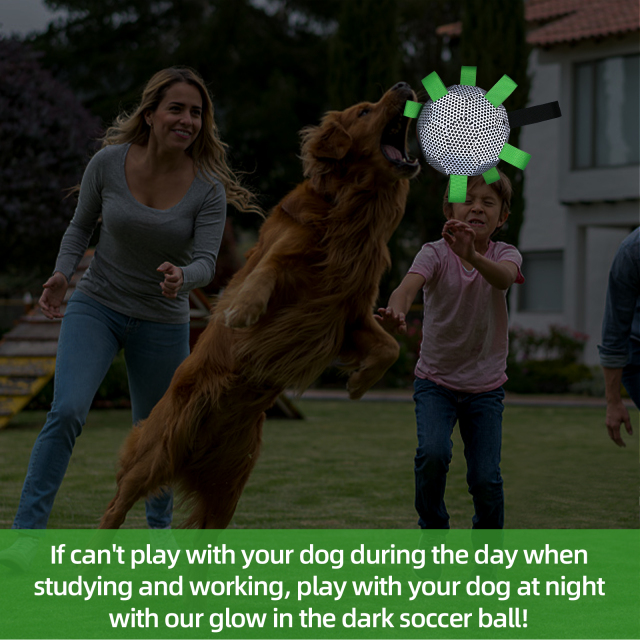 Black Honeycomb reflective dog soocer ball