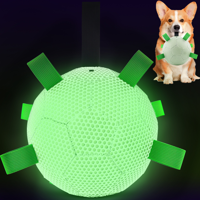 KINYU New Pure Luminous Dog Soccer Ball