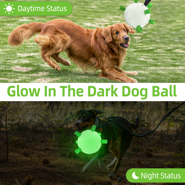 KINYU New Pure Luminous Dog Soccer Ball