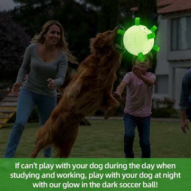 KINYU New Pure Luminous Dog Soccer Ball