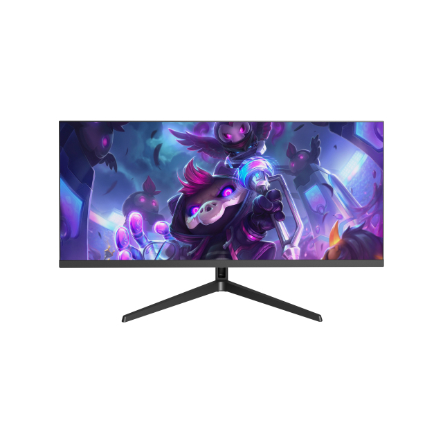 29inch QHD E-Sports Gaming Monitor