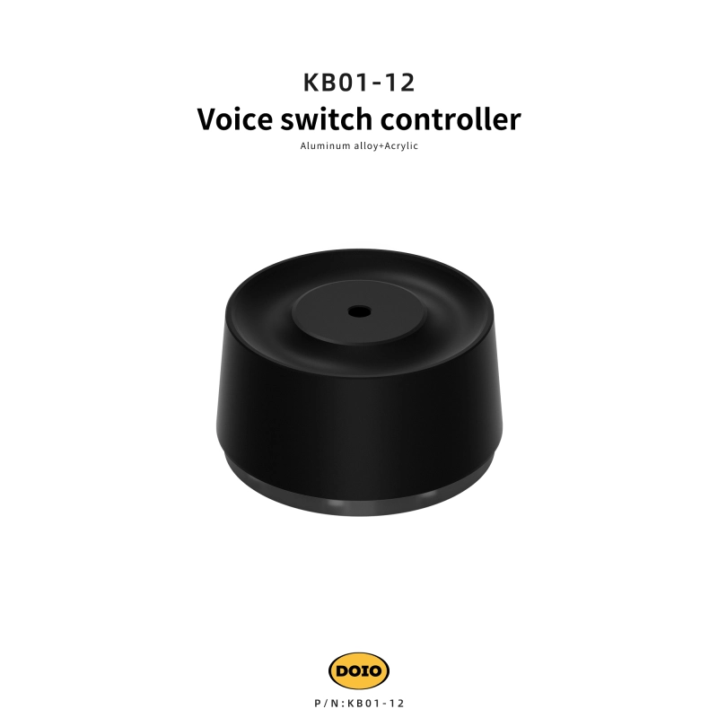 Voice switch controller