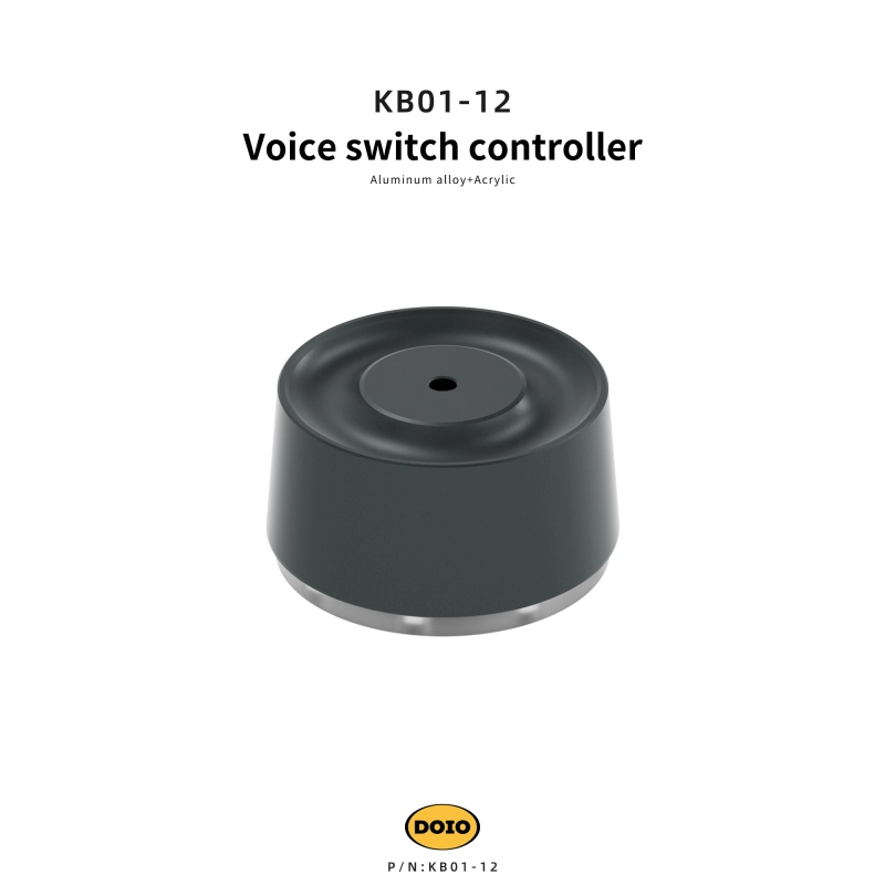 Voice switch controller