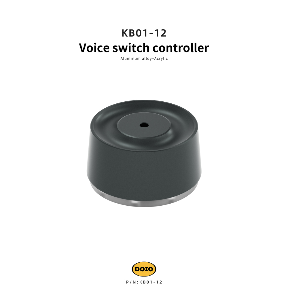Voice switch controller