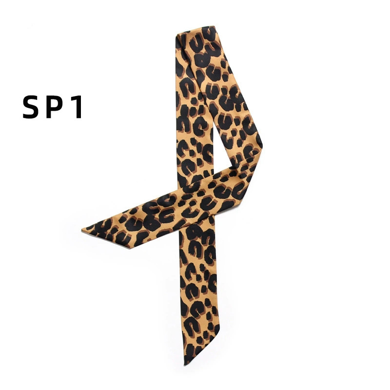 Bag Scarves Ladies Scarf