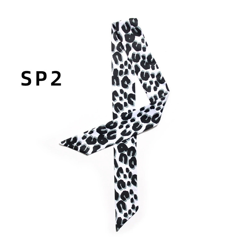 Bag Scarves Ladies Scarf