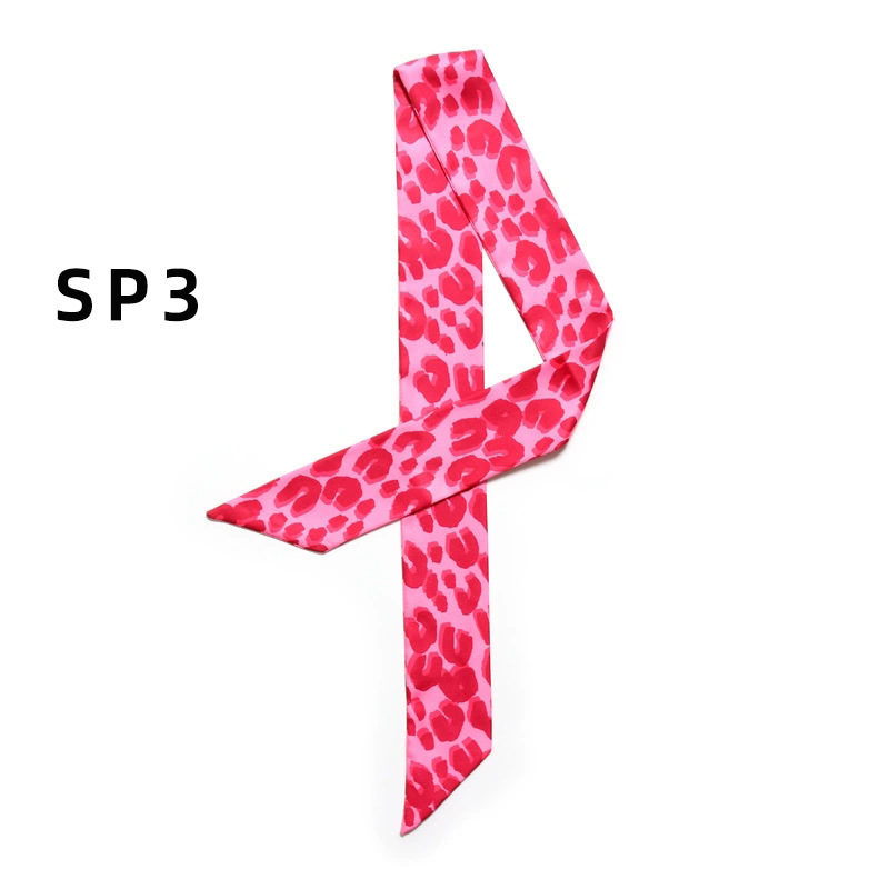Bag Scarves Ladies Scarf