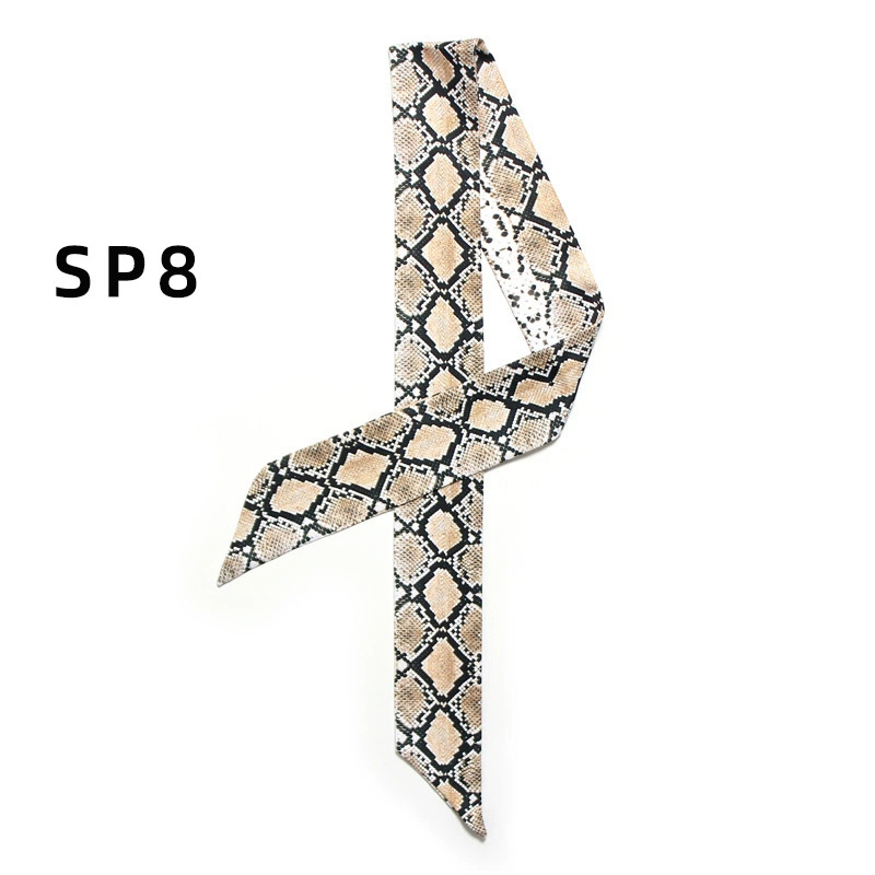 Bag Scarves Ladies Scarf