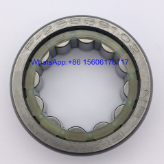 F-238891.02 Gearbox Bearing 32x53.5x19.5mm - Stock for Sale