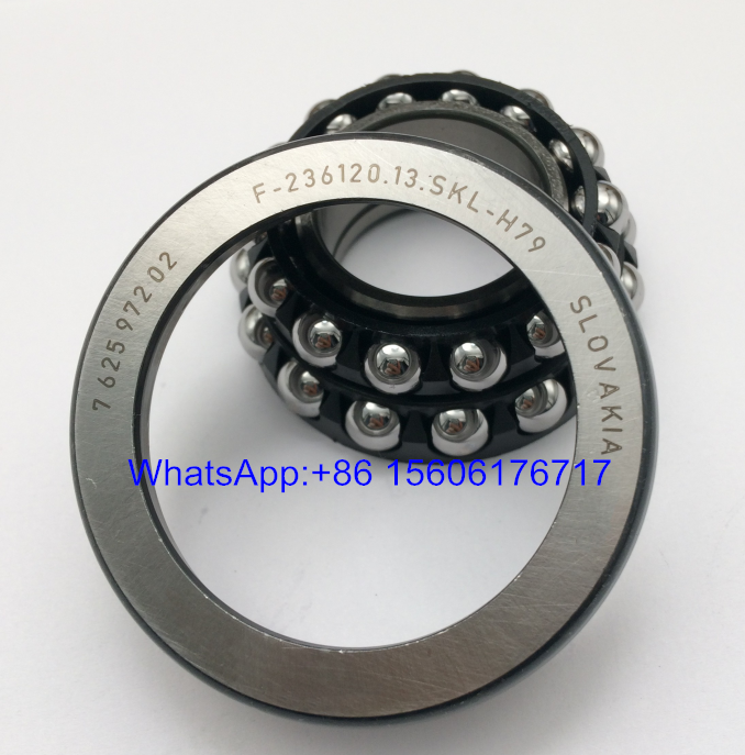 F-236120.13.SKL-H79 Differential Bearings 762597202 - Stock for Sale