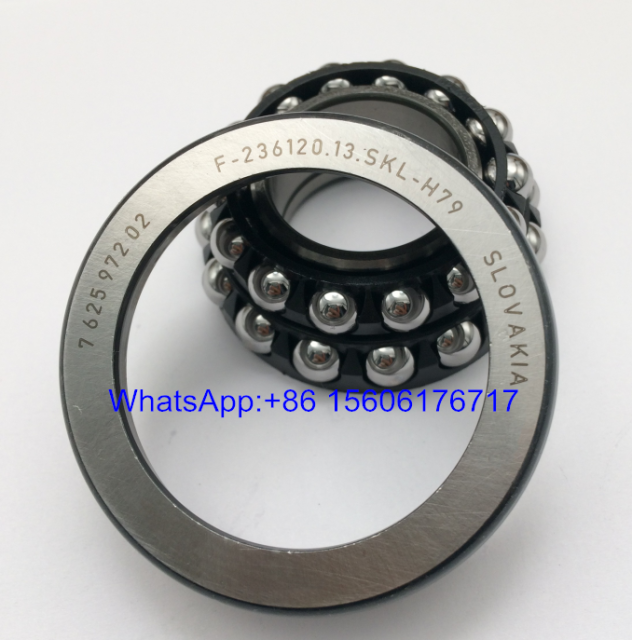 F-236120.13.SKL-H79 Differential Bearings 762597202 - Stock for Sale