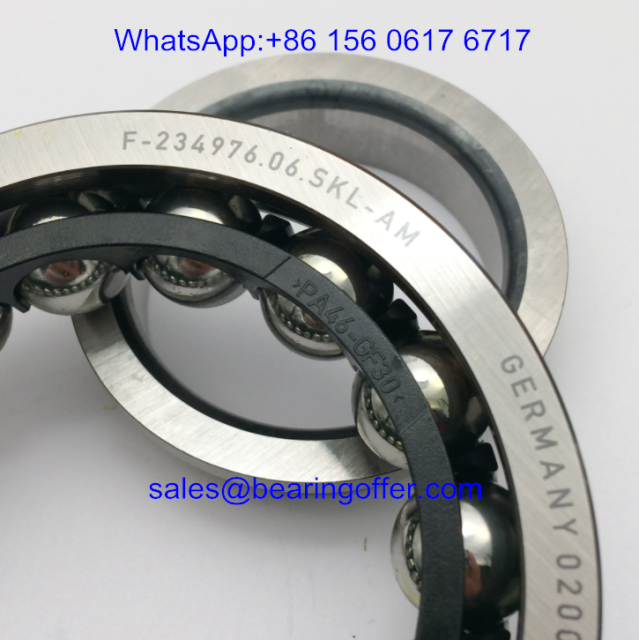 F-234976.06.SKL-AM Germany Differential Bearings - Stock for Sale