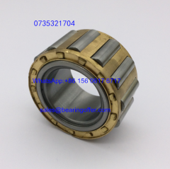 0735321704 Auto Bearing 23x39x21 Roller Bearing - Stock for Sale