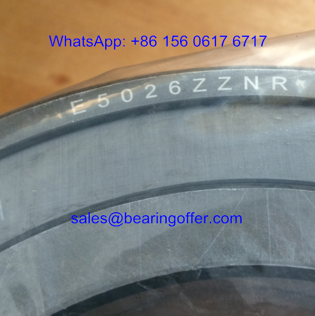 E5026ZZNR Crane Pulley Bearing E5026ZZ Roller Bearing - Stock for Sale