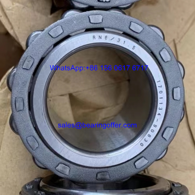 RN6/31.5 Auto Bearing RN6-31.5 Roller Bearing RN631.5 - Stock for Sale