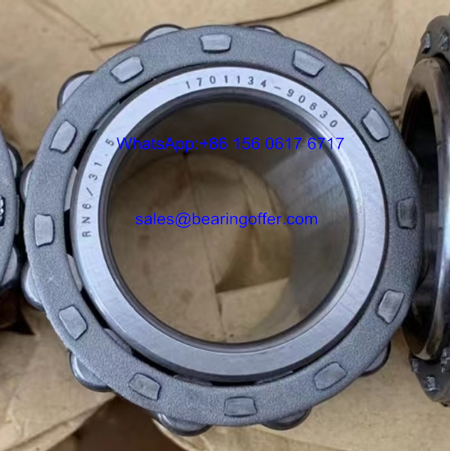 1701134-90630 Auto Bearing 170113490630 Roller Bearing - Stock for Sale