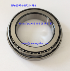 NP665996/NP244986 Differential Pinion Bearing NP665996 Roller Bearing NP244986 - Stock for Sale